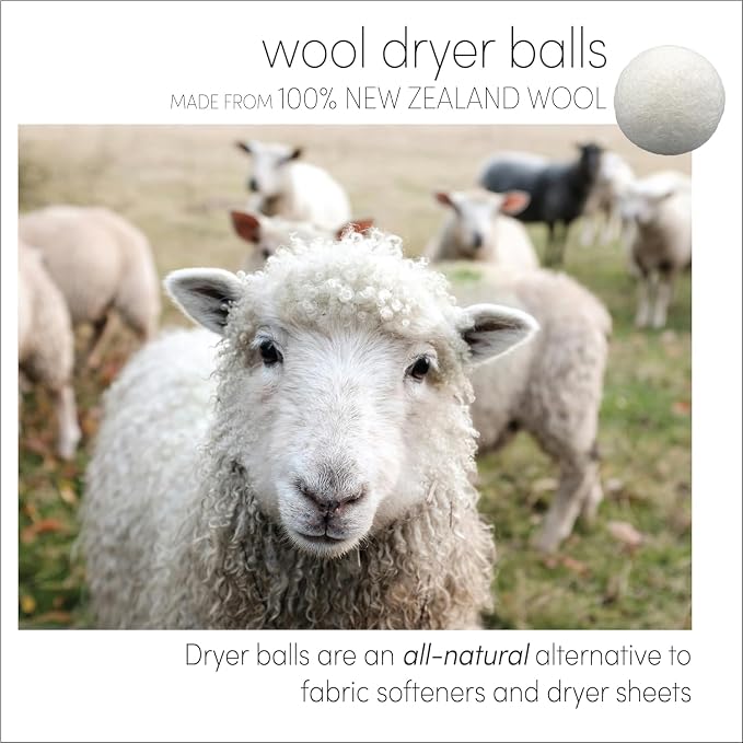 Three by Three Seattle Felt·Like·it!™ XL Wool Dryer Balls + Storage Bin: Reduce - Image 4