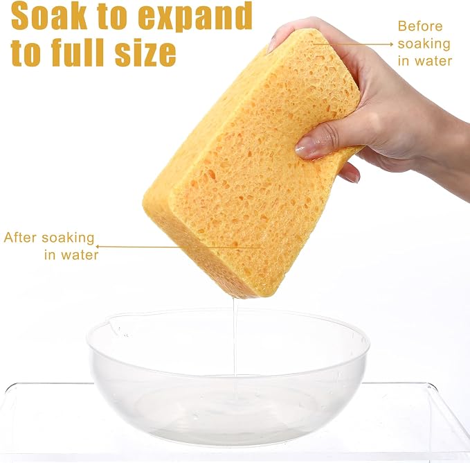 2Pcs Large Natural Sponges Household Cleaning Sponges Non-Scratch Cleaning - Image 7