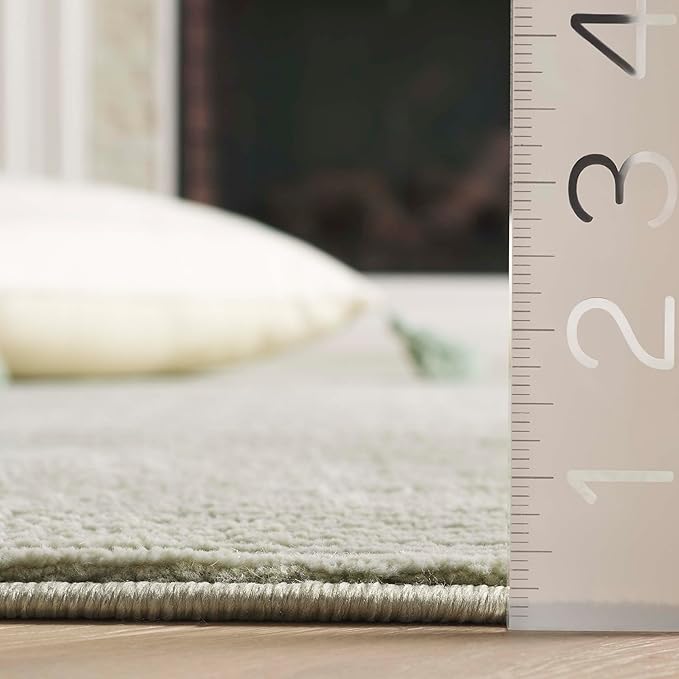 SAFAVIEH Revive Collection Area Rug - 4' x 6', Sage, Transitional Design, Stain Resistant, Ideal for High Traffic Areas in Living Room, Bedroom & Dining Room (REV102W-4)