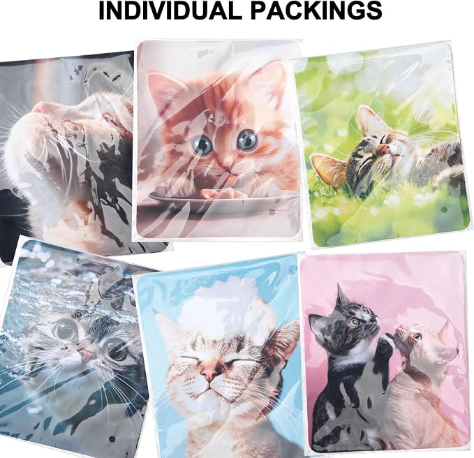 Anywind Microfiber Glasses Cleaner Cloth, Cute Cat Cleaning Clothes - Image 9