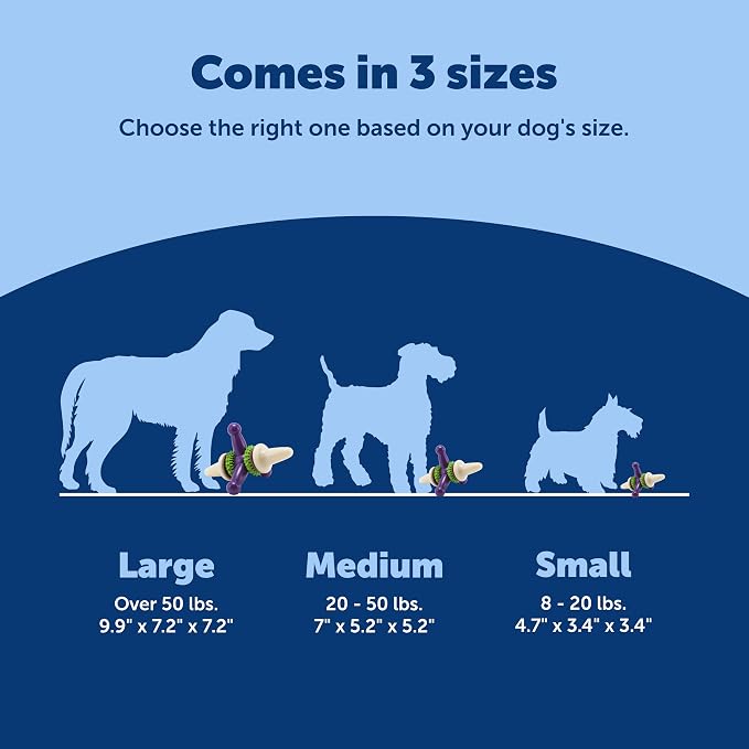 PetSafe Busy Buddy Jack - Image 5