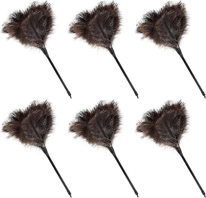 Natural Ostrich Feather Duster 14.9 inch Fluffy Mini Dusters by Daieeparty