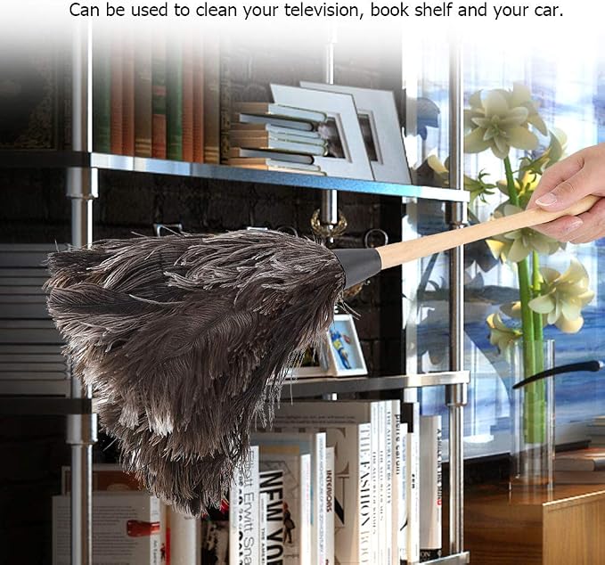 Duster - Image 2