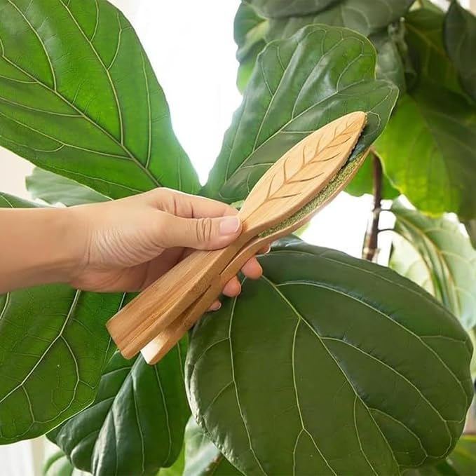 Leaf Cleaning Tongs, House Plant Leaf Cleaning Tongs, Leaf Cleaning Tools - Image 2
