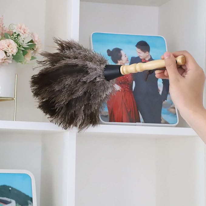 Natural Gray Ostrich Feather Duster, 2 Packs, Car Duster Interior/Exterior - Image 9