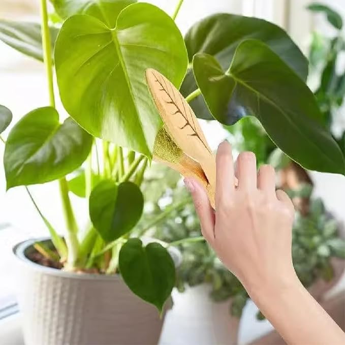 Leaf Cleaning Tongs, House Plant Leaf Cleaning Tongs, Leaf Cleaning Tools - Image 6