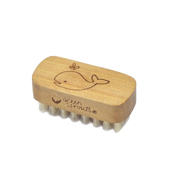 green sprouts Baby Nail Brush, Gently Cleans Baby’s Nails, Natural bristles by GreenSprouts