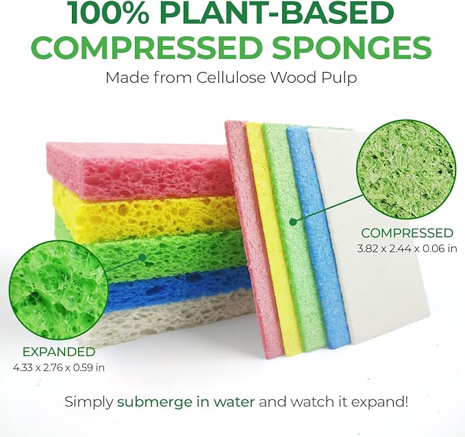 Compressed Cellulose Sponges - Image 2