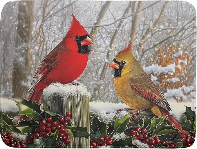Winter Birds Dish Drying Mat Red Berry Dish Drainer Rack Mat Microfiber by Giwawa