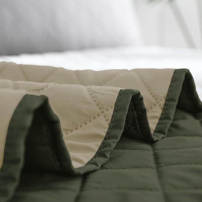 Easy-Going Twin Size Reversible Quilt Set with 1 Quilt and 1 Pillow Sham, Soft Bed Quilt Cover, Water Resistant Lightweight Microfiber Bedspread, Stain Resistant, Army Green/Beige