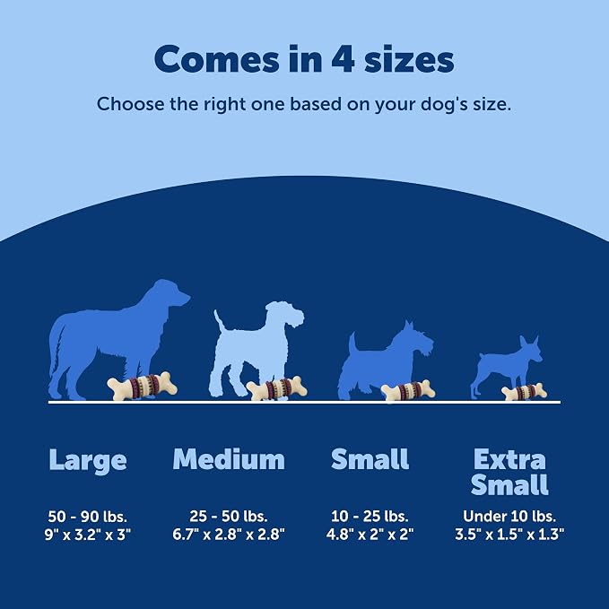 PetSafe Busy Buddy Bristle Bone Dog Chew Toy - Image 5