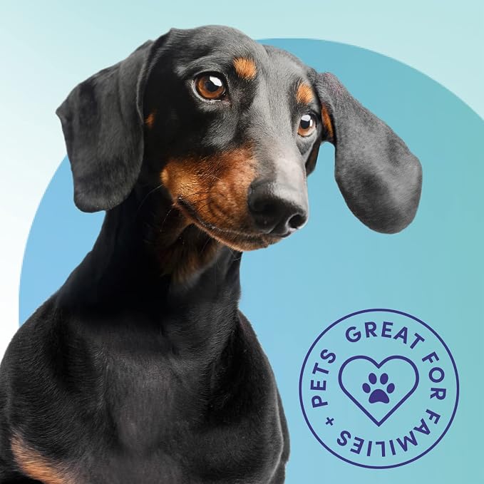 Bioesque Advanced Stain + Odor Remover, Pet-Friendly Natural Enzymatic & - Image 2