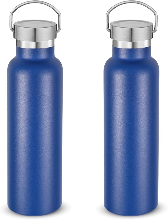 Neihepal 20 oz Insulated Water Bottles Bulk 2 Pack, Stainless Steel Double Wall by Neihepal