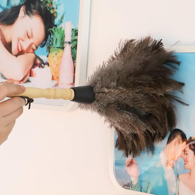Natural Gray Ostrich Feather Duster, 2 Packs, Car Duster Interior/Exterior - Image 7