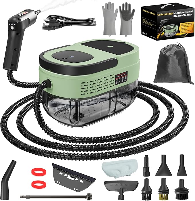 Handheld Steam Cleaner for Home, 2500W High Temperature Pressurized Machine by Gribouillage