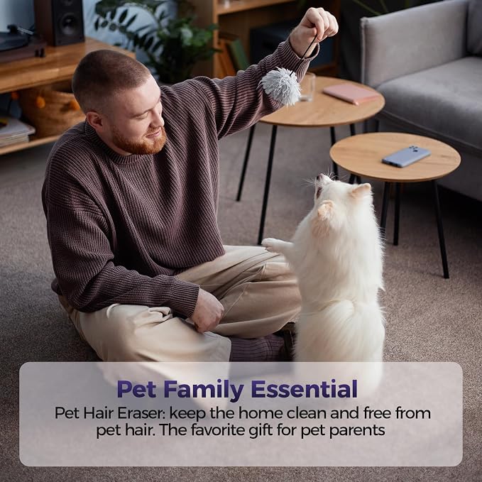 Pet Hair Handheld Vacuum Cordless: 20000PA High Power Car Vacuum - Image 7