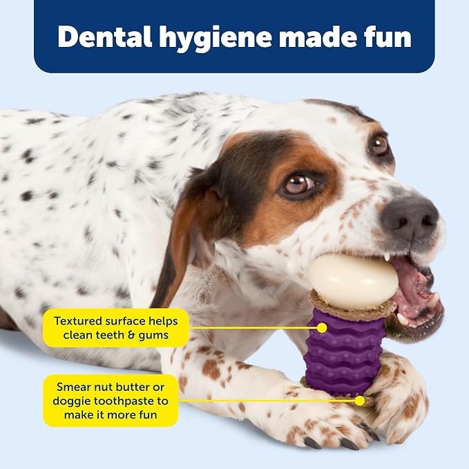 PetSafe Busy Buddy Nobbly Nubbly Treat Holding Dog Toy – Strong Chewers – - Image 4