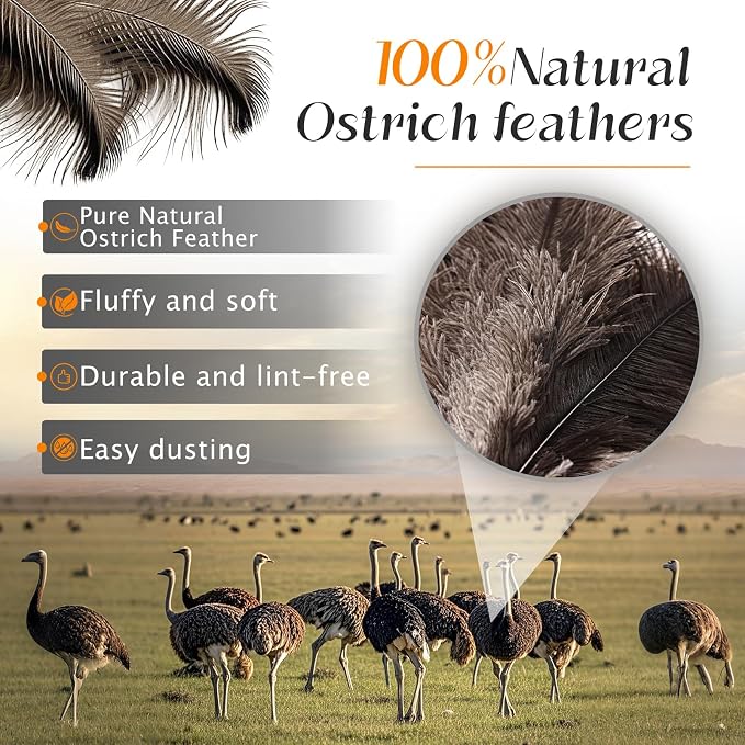 Ostrich Feather Duster 62 Inch Fluffy Natural Genuine Ostrich Feathers Plastic - Image 4