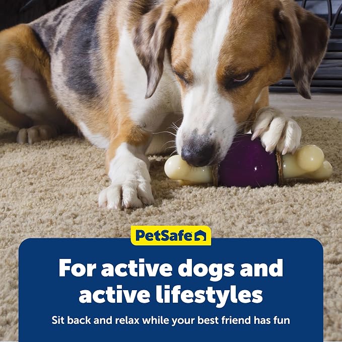 PetSafe Busy Buddy Bouncy Bone - Image 6