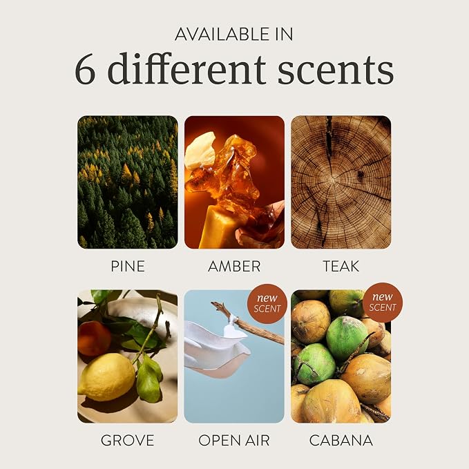 Drift on Amazon Wood Air Freshener Starter Kit- Apple Picking - Image 3