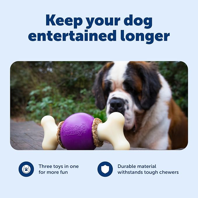 PetSafe Busy Buddy Bouncy Bone - Image 3