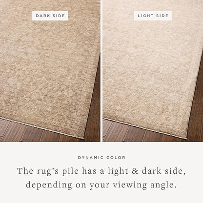 Loloi Chris Loves Julia Palma Collection PLM-01 Bark/Natural 5'-3" x 7'-6" Area Rug Vintage Style Boho Living Room Bedroom Carpet