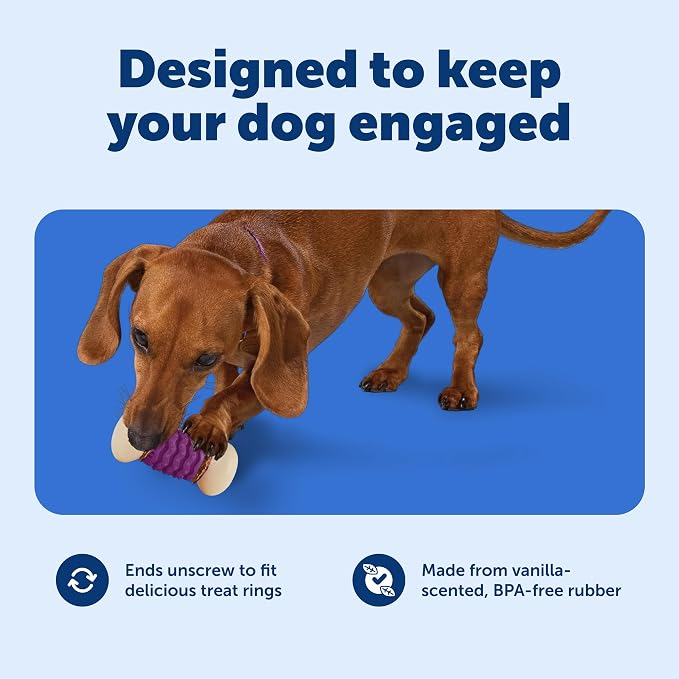 PetSafe Busy Buddy Nobbly Nubbly Treat Holding Dog Toy – Strong Chewers – - Image 3