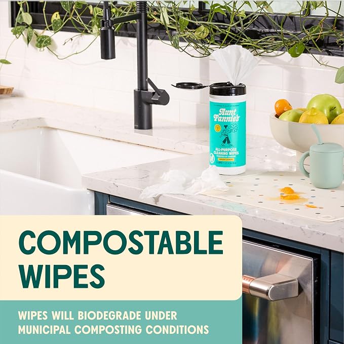 Aunt Fannie's Natural Cleaning Wipes Variety Pack - Image 7