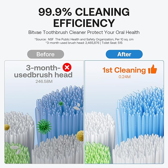 Bitvae Upgraded Tooth Brush Holder - Image 4