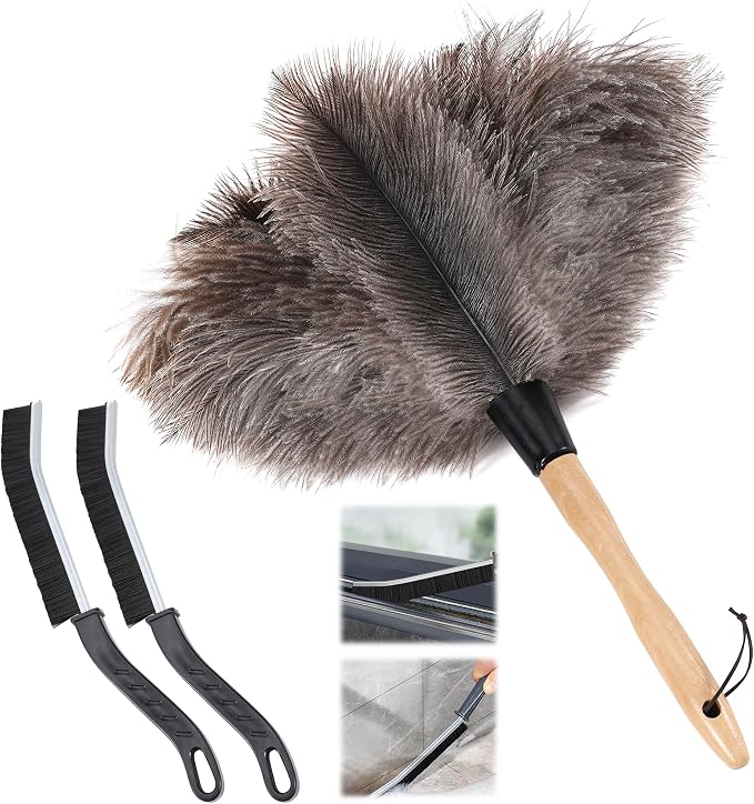 Soarer Ostrich Feather Duster by Soarer