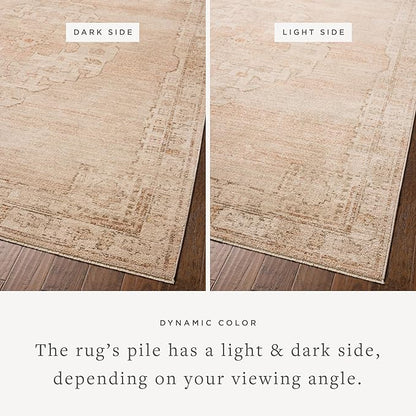 Loloi Chris Loves Julia Palma Collection PLM-02 Spice/Natural 2'-7" x 7'-6" Runner Rug Vintage Style Boho Living Room Bedroom Carpet