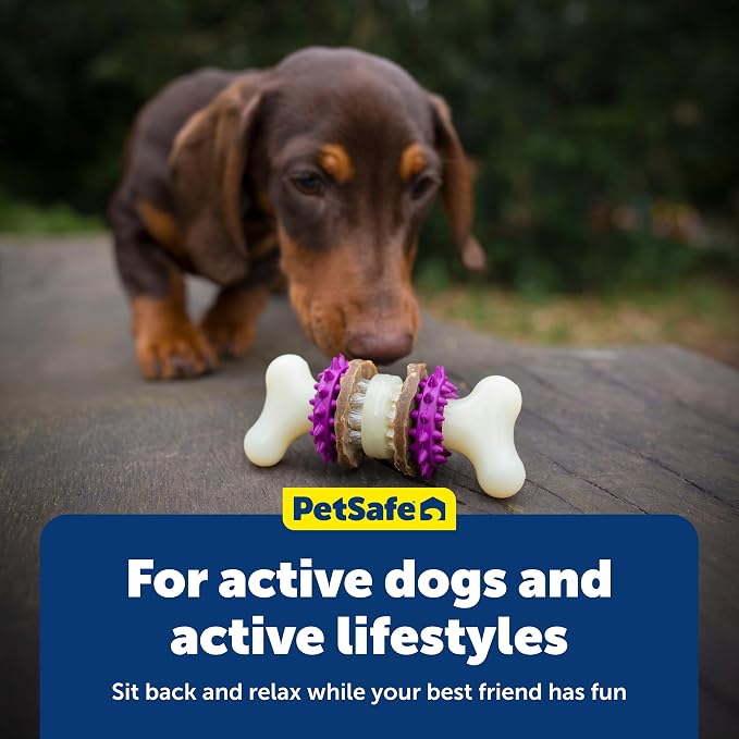 PetSafe Busy Buddy Bristle Bone Dog Chew Toy - Image 6