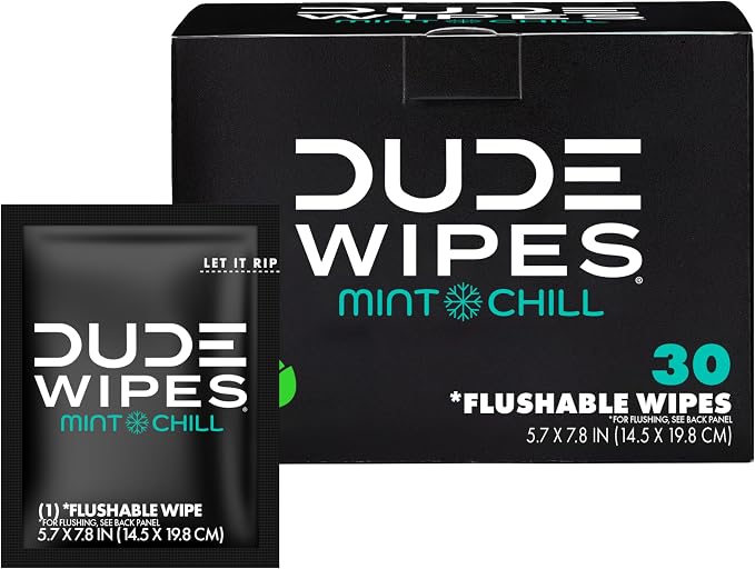 DUDE Wipes On-The-Go Mint Chill Travel Wipes by DudeWipes