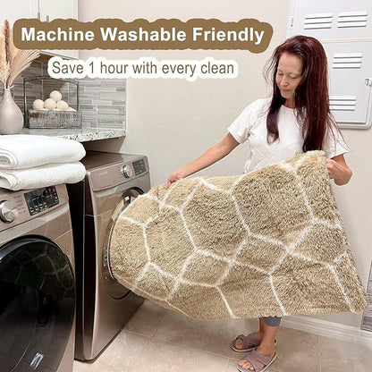ONASAR Area Rugs for Bedroom Living Room, Washable 4x6 Fluffy Beige and White Throw Rug, Geometric Soft Shaggy Fuzzy Plush Indoor Floor Carpet for Kids Teen Nursery Dorm Office Home Decor Aesthetic