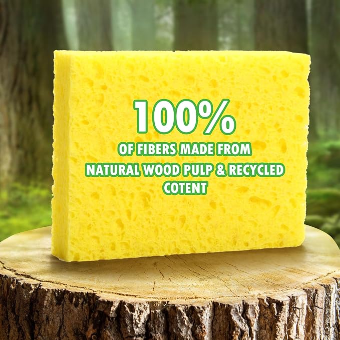 Compressed Natural Cellulose Sponges 24 Pack Regular Size Multicolor Soft - Image 6