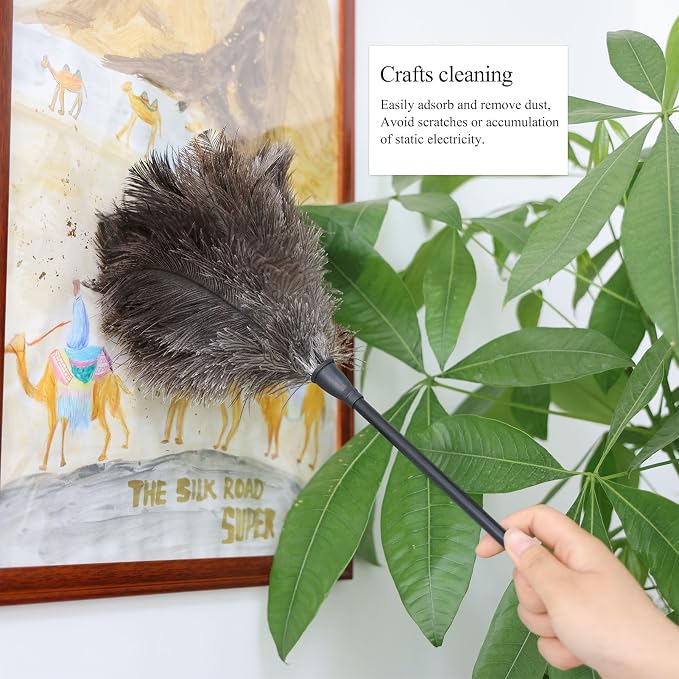 Ostrich Feather Duster 15Inch Natural Fluffy Handheld Feather Dusters - Image 6