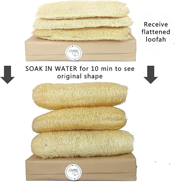 Natural Whole Loofah Dish Sponge - Image 2