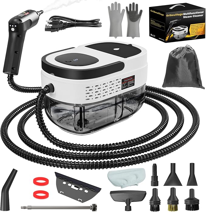 Handheld Steam Cleaner for Home, 2500W High Temperature Pressurized Machine by Gribouillage