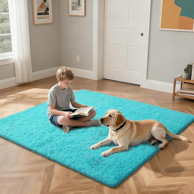 Teal Blue Rug Fluffy Rugs, 3x7 Teal Area Rugs for Bedroom, Soft Cute Baby Play Mat, Indoor Floor Carpet for Teen, Nursery, Preppy Dorm, Plush Aesthetic Bedside Rug
