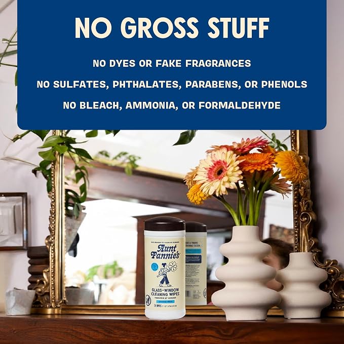 Aunt Fannie's Glass & Window Cleaning Wipes, Natural Streak-Free Glass Cleaner - Image 7