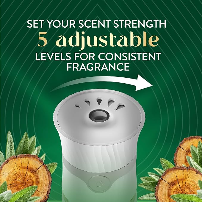 Air Wick Scented Oils 0+5 White Sage & Mahogany - Image 9