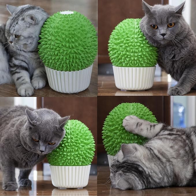 Catnip Feeder - Cat Face Scratcher Wall Corner Massage Comb - Image 3