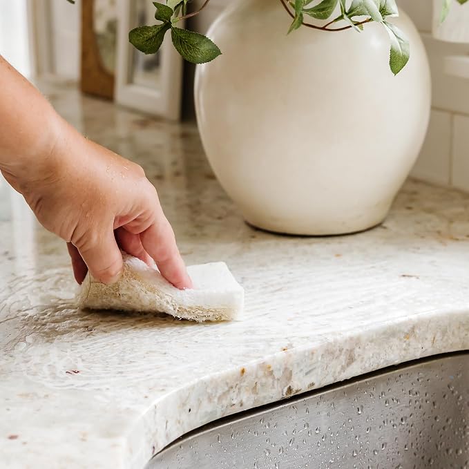 Full Circle Coconut Scrubber Sponges, Plant-Based Sponges Made - Image 5