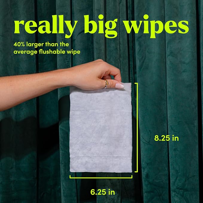 goodwipes Flushable Wipes Travel Size - Image 2