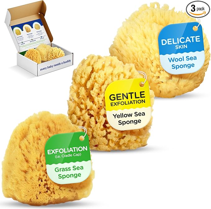 Baby Buddy Baby Bath 4in Assorted Sea Sponges, Absorbent Natural Sea Sponge by BabyBuddy