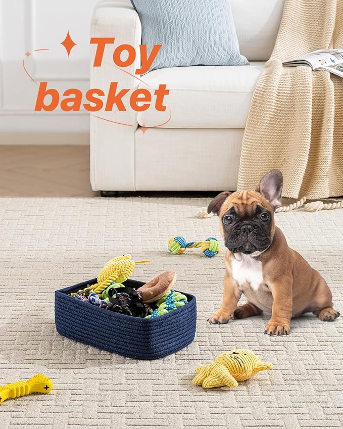 Small Woven Basket, Storage Basket - Image 5