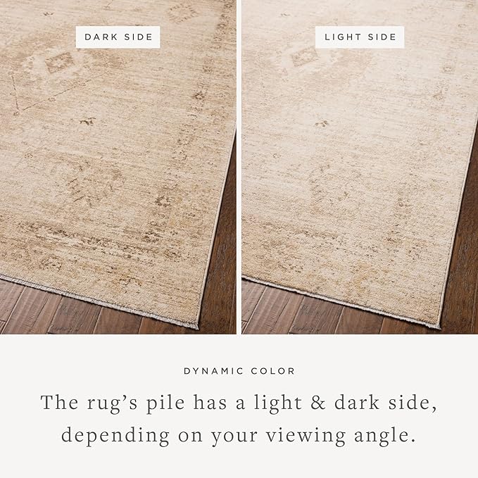 Loloi Chris Loves Julia Palma Collection PLM-06 Natural/Smoke 3'-6" x 5'-6" Fringe Accent Rug Vintage Style Boho Living Room Bedroom Carpet