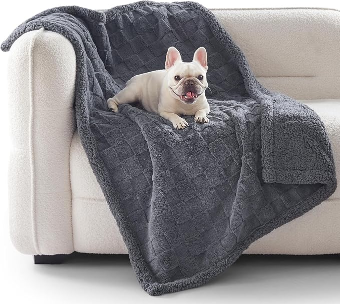 GASUR Waterproof Dog Blankets for Small Dogs, Dog Blanket for Couch Bed, Fleece Pet Blanket for Furniture Sofa Protector, Soft Puppy Throw Blankets for Crate Car Outdoor, Washable, 25"x35",Grey