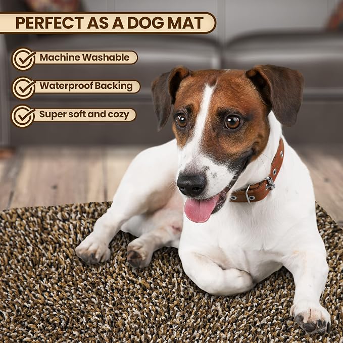 Premium Microfiber Indoor Door Mat – 20"x30" Washable Entry Mat, Waterproof - Image 2