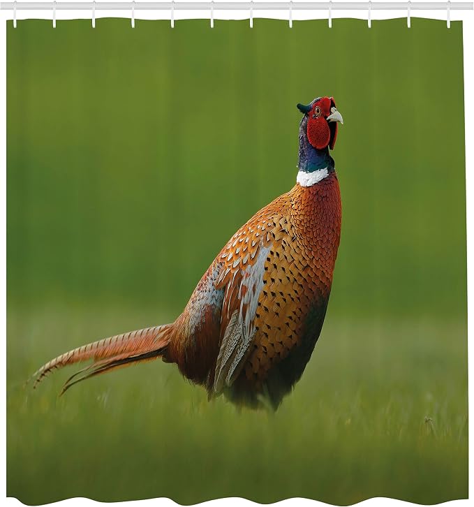 Ambesonne Green Shower Curtain, Czech Republic European Scene of a Creature on - Image 2